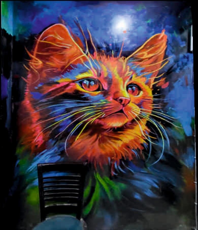 Colourful cat mural at an IT office